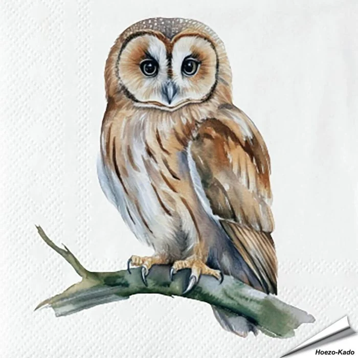 Servetten Uil | 20 stuks | FSC | Vogelhuisje.com