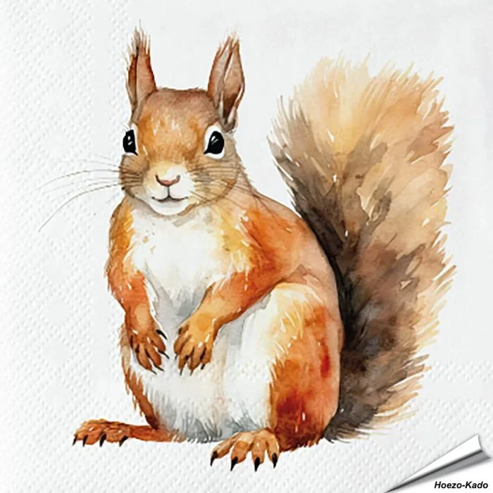 Servetten Eekhoorn | 20 stuks | 3-laags | Vogelhuisje.com