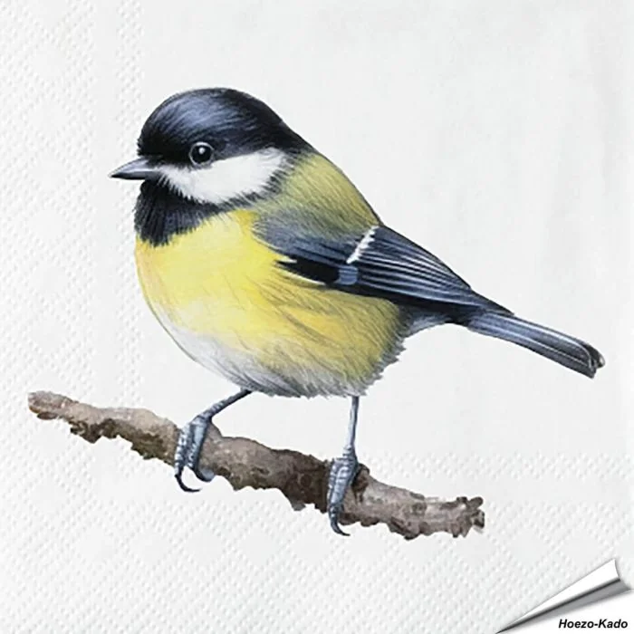 Servetten Koolmees| 20 stuks | FSC & 3-laags | Vogelhuisje.com