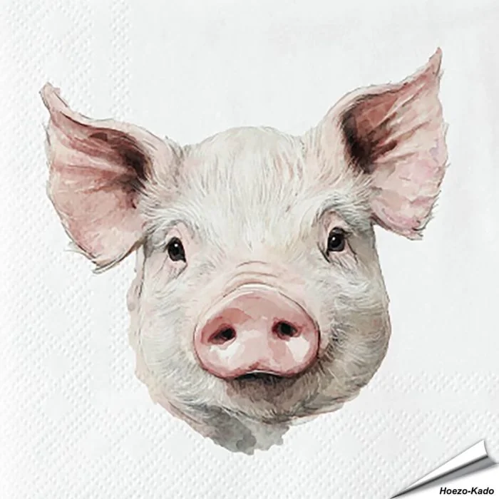 Stijlvolle servetten met een varken (boederijdier) van Esschert Design ✔️ FSC-papier, 3-laags, biologisch afbreekbaar ✔️ Perfect voor elke tafelsetting ➤ Bestel bij Vogelhuisje.com
