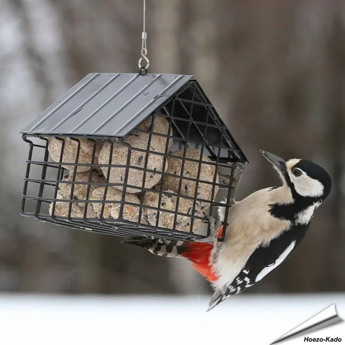 Zwart Vetbol Voederhuisje van Wildlife Garden voor ca. 6 vetbollen. Van gepoedercoat staal met open gaaswanden. Ca. 12,5 x 15,4 x 13,7 cm.