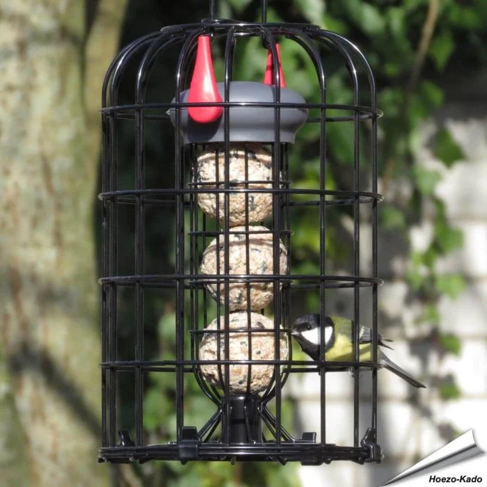 vetbolhouder kleine vogels