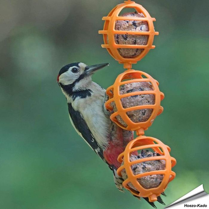 Vrolijke vetbolhouders voor wilde vogels ✔️ Gemaakt van duurzaam kunststof ✔️ Eenvoudig op te hangen & schoon te maken ➤ Bestel op Vogelhuisje.com