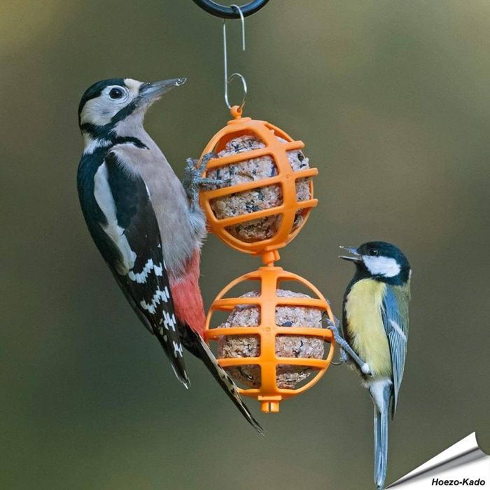 Vrolijke vetbolhouders voor tuinvogels ✔️ Gemaakt van duurzaam kunststof ✔️ Eenvoudig op te hangen & schoon te maken ➤ Bestel op Vogelhuisje.com