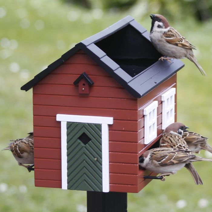 Voederhuisje Fågelmatare met bad (rood)