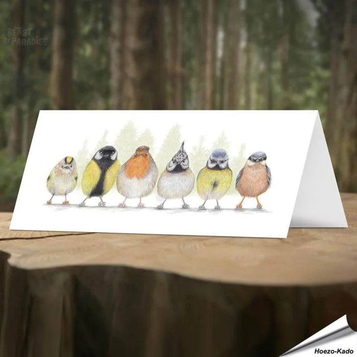 Grappige wenskaart met illustraties van verschillende europese tuinvogels ✔️ Dubbele kaart, met blanco binnenkant ✔️ FSC papier ➤ Bestel op www.vogelhuisje.com