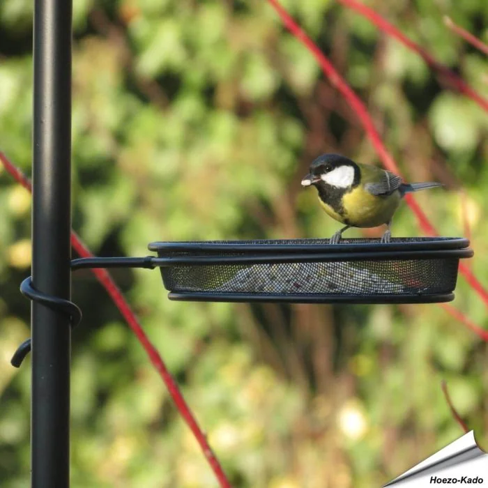 Wrap-around metalen voederschaal voor vogelvoederstations ✔️ Compatibel met palen Ø 22mm ✔️ Gemaakt van stevig, gepoedercoat staal ✔️ Bestel direct online bij Vogelhuisje.com