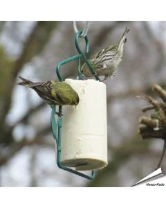 Pindacake met insecten voor vogels kopen? | Vogelhuisje.com