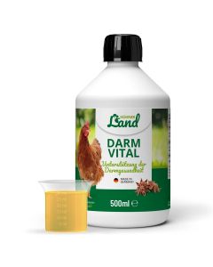 Darm Vitaal is een natuurlijk aanvullend voer voor kippen en pluimvee ✔️ Ondersteunt een gezonde spijsvertering ✔️ Versterkt afweer en immuunsysteem ✔️ Bestel nu op Vogelhuisje.com