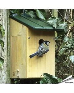 Observatienestkast voor tuinvogels ✔️ 34mm invliegopening voor o.a. mussen ✔️ Zijkant met venster van plexiglas ✔️ Aanbevolen van Vogelbescherming NL ✔️ Koop bij Vogelhuisje.com