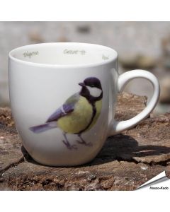 Mok - Koolmees 'Elwin van der Kolk'