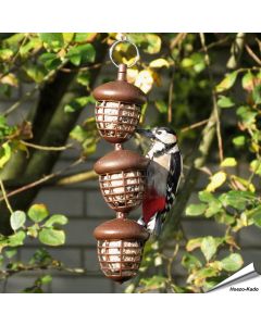 Vetbol-Houder Acorn (3 vetbollen) | Voor wilde vogels | Vogelhuisje.com