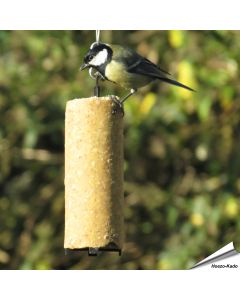 Aniculis - Vegan Vetcake met Pinda's