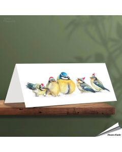 Kerstkaart met leuke pimpelmezen - Voor natuurliefhebbers - www.vogelhuisje.com