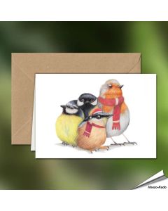 Kerstkaart met een leuke roodborst, pimpelmees, koolmees en boomklever - Vogelhuisje.com