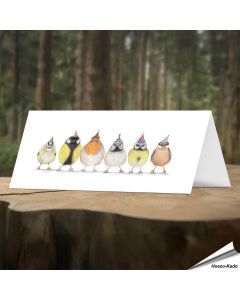 Verjaardagskaart met leuke tuinvogels - Voor natuurliefhebbers - Vogelhuisje.com