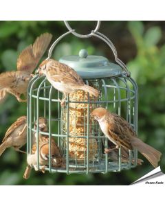 Stijlvolle vetblokhouder met beschermkooi in zeegroen ✔️ Ideaal voor kleine tuinvogels ✔️ Weerbestendig & eenvoudig te reinigen ➤ Nu kopen bij Vogelhuisje.com!