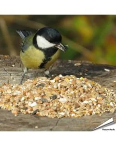 Premium zaadmengeling voor tuinvogels van Aniculis ✔️ Met zorgvuldig geselecteerde zaden en granen ✔️ Perfect voor jaarronde vogelvoeding ➤ Nu bestellen op Vogelhuisje.com