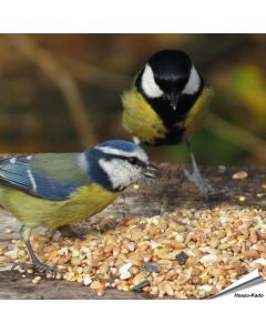 Premium Wilde Vogelzaad-Mix van Aniculis