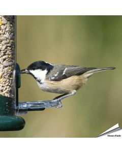 Ring-Pull voederringen voor voedersilo's
