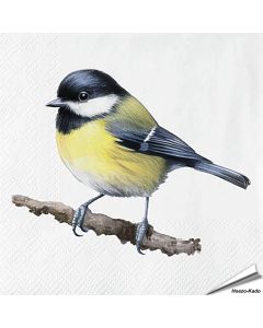 Servetten Koolmees| 20 stuks | FSC & 3-laags | Vogelhuisje.com