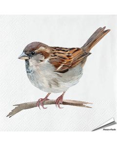 Servetten Huismus | 20 stuks | FSC | Vogelhuisje.com