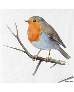 Servetten Roodborst | 20 stuks | FSC | Vogelhuisje.com