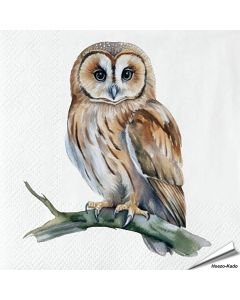 Servetten Uil | 20 stuks | FSC | Vogelhuisje.com