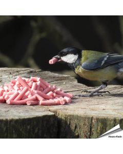 Energierijke vet traktaties met bessen voor tuinvogels ✔️ Ideaal voor het hele jaar door voeren ✔️ Delicatesse voor o.a. merels, roodborstjes... ➤ Online kopen bij Vogelhuisje.com