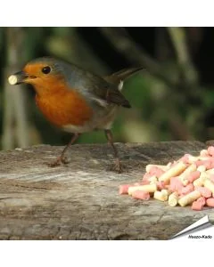 Vetkorrel-Mix met insecten en bessen traktatie ✔️ Een heerlijke, zachte traktatie voor tuinvogels ✔️ Hoogwaardige ingrediënten ✔️ Het hele jaar door voeren ✔️ Koop bij Vogelhuisje.com