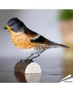 Keep (Fringilla montifringilla) - Decobird van Wildlife Garden - Koop online op Vogelhuisje.com