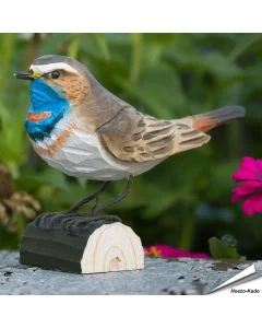 Houtgesneden vogel in de vorm van een Blauwborst is een mooie decoratie waar het hele gezin dol op zal zijn ✔️ Levensecht vorm- en kleur gegeven model ➤ Bestel nu op Vogelhuisje.com