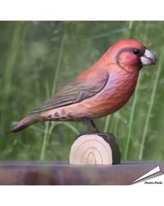 Houtgesneden vogel in de vorm van een Kruisbek is een mooie decoratie waar het hele gezin dol op zal zijn ✔️ Levensecht vorm- en kleur gegeven model ➤ Koop nu online bij Vogelhuisje.com