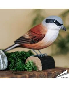 Houtgesneden vogel in de vorm van een Grauwe klauwier is een mooie decoratie waar het hele gezin dol op zal zijn ✔️ Levensecht vorm- en kleur gegeven model ➤ Koop nu online bij Vogelhuisje.com