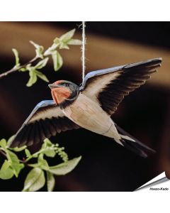 DecoBird - Boerenzwaluw | Houtgesneden vogel | lindenhout - Vogelhuisje.com