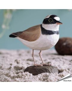Kleine plevier (Charadrius dubius) - Decobird van Wildlife Garden - Koop online op Vogelhuisje.com