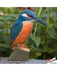 DecoBird - IJsvogel | Houtgesneden vogel | lindenhout