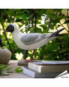 Houtgesneden vogel in de vorm van een Kokmeeuw is een mooie decoratie waar het hele gezin dol op zal zijn ✔️ Levensecht vorm- en kleur gegeven model ➤ Koop nu online bij Vogelhuisje.com