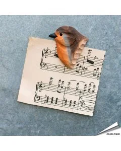 Koelkastmagneet - Roodborst