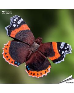 DecoButterfly - Koelkast Magneet - Atalanta | Vogelhuisje.com