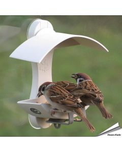 Raamvoederhuis voor wilde vogels - Geliefd bij mussen - www.vogelhuisje.com