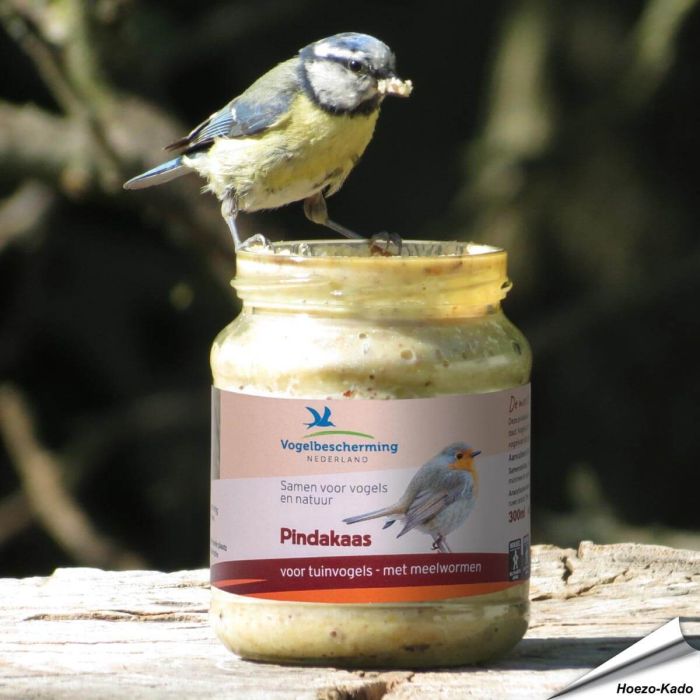 Speciale pindakaas voor tuinvogels - Vogelbescherming - Meelwormen ✔️ Geen zout toegevoegd ✔️ Calorierijke lekkernij voor vogels ➤ Bestellen op www.vogelhuisje.com