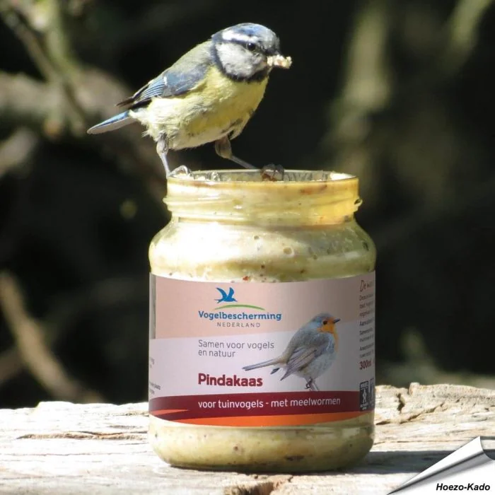 Speciale pindakaas voor tuinvogels - Vogelbescherming - Meelwormen ✔️ Geen zout toegevoegd ✔️ Calorierijke lekkernij voor vogels ➤ Bestellen op www.vogelhuisje.com