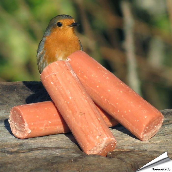 Energierollen met bessen voor tuinvogels ✔️ Eiwit- en energierijk vetvoer ✔️ Het hele jaar door te gebruiken ➤ Bestel jouw vogelvoer op Vogelhuisje.com