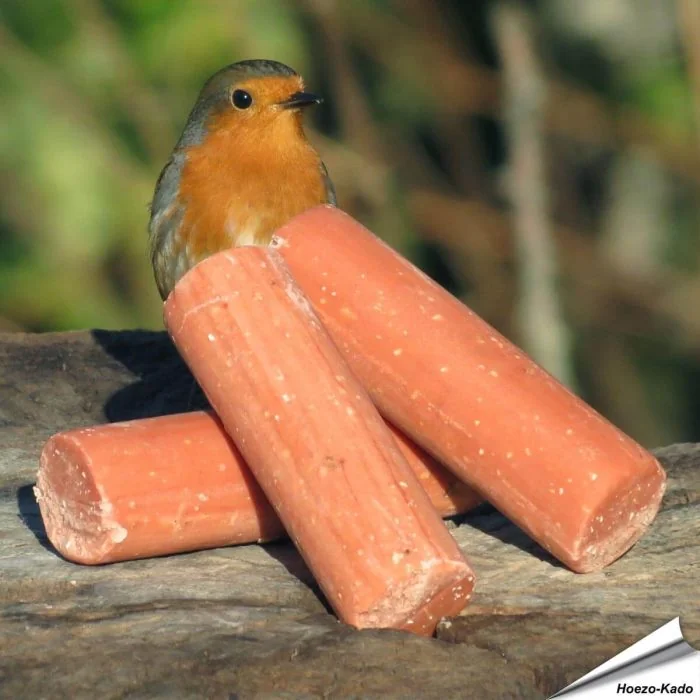 Energierollen met bessen voor tuinvogels ✔️ Eiwit- en energierijk vetvoer ✔️ Het hele jaar door te gebruiken ➤ Bestel jouw vogelvoer op Vogelhuisje.com