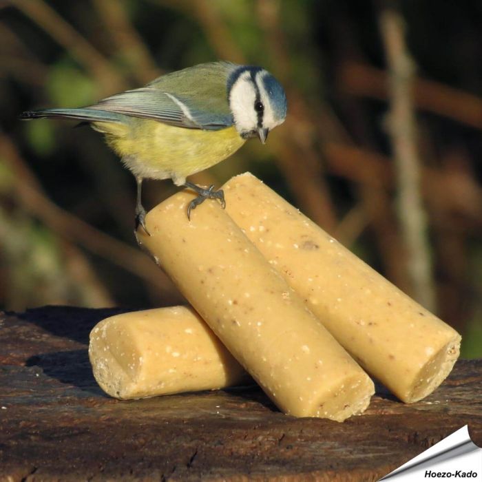 Energierollen met insecten voor wilde vogels ✔️ Eiwit- en energierijk vetvoer ✔️ Het hele jaar door te gebruiken ➤ Bestel jouw vogelvoer bij Vogelhuisje.com