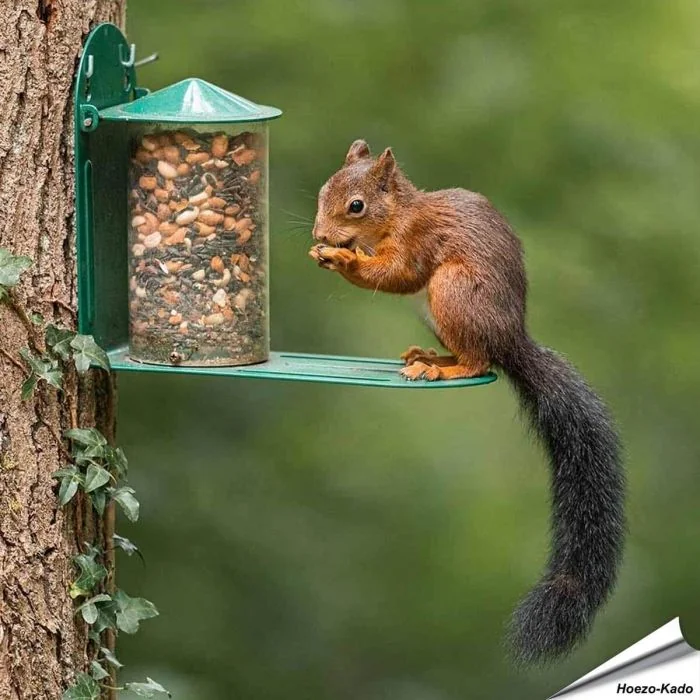 Eekhoorn Voederhuis metaal - Speciaal voor Eekhoorns - www.hoezo-kado.nl
