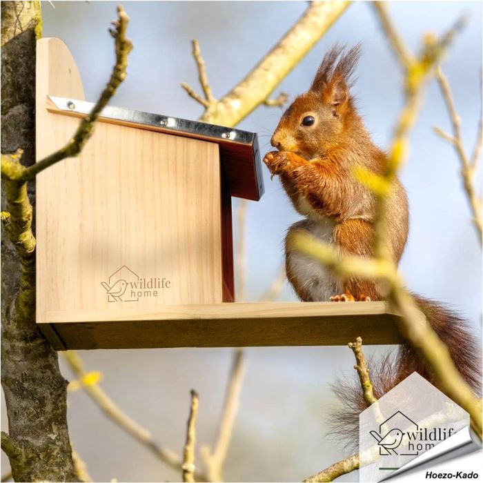 Eekhoorn voederhuis met metalen dak - www.vogelhuisje.com