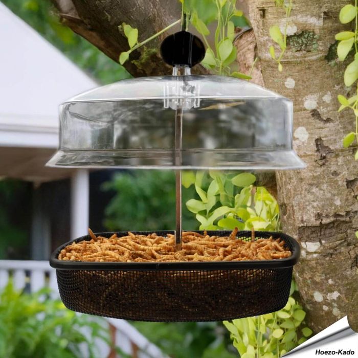 Hangend voederhuis voor tuinvogels met dak ✔️ Robuuste metalen constructie ✔️ Stevig, fijnmazig draadgaas ➤ Bestel nu online op Vogelhuisje.com