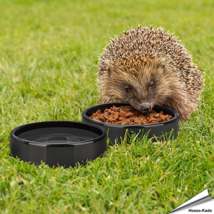 Egel voer- en drinkbakje | Keramiek | Vogelhuisje.com